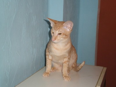 PC290081.JPG