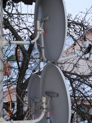 DSCN1017.jpg