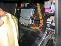 Cruise 08.jpg